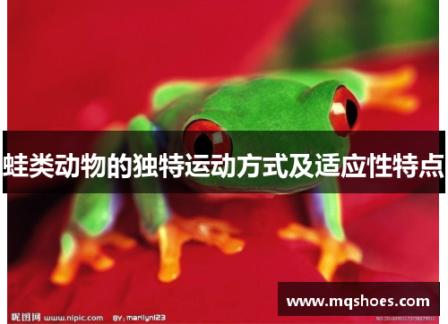 蛙类动物的独特运动方式及适应性特点