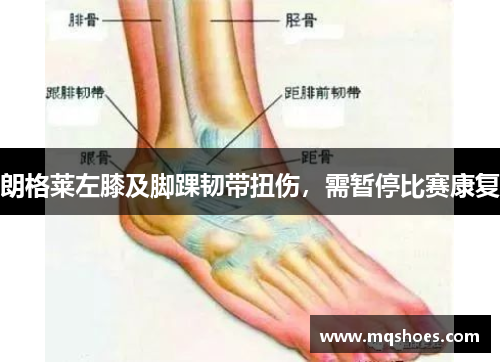 朗格莱左膝及脚踝韧带扭伤，需暂停比赛康复